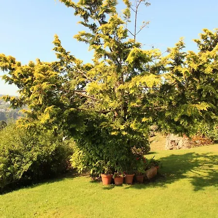 住宿加早餐酒店 Quinta De Favaes